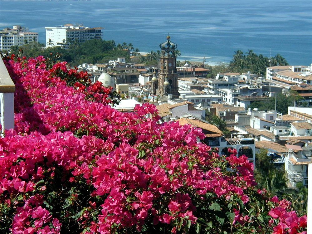 Hotel Suites La Siesta Puerto Vallarta Buitenkant foto