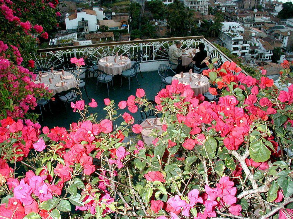 Hotel Suites La Siesta Puerto Vallarta Buitenkant foto